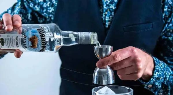 Barman nalewa wódkę Żubrówka Biała z butelki do miarki barmańskiej nad szklankę z lodem.