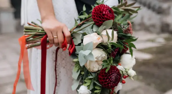 Dłoń panny młodej trzyma bukiet z bordowymi daliami i kremowymi różami, ozdobiony czerwonymi wstążkami. Idealne kwiaty sezonowe na wrzesień.